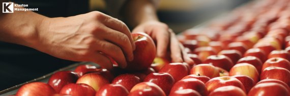 Mãos de profissional realizando controle de qualidade e inspeção de maçãs em esteira de indústria alimentícia para consultoria ISO 22000.